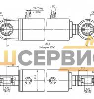 Гидроцилиндр щетки для мойки барьерных ограждений ЦГ-50.30х250.11-01 (ЭД244-60.03.000-07)