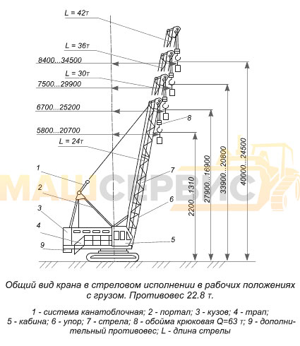 Дэк 1001 чертеж